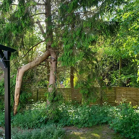 Ferienhaus Quiet Surrounded By Old Trees